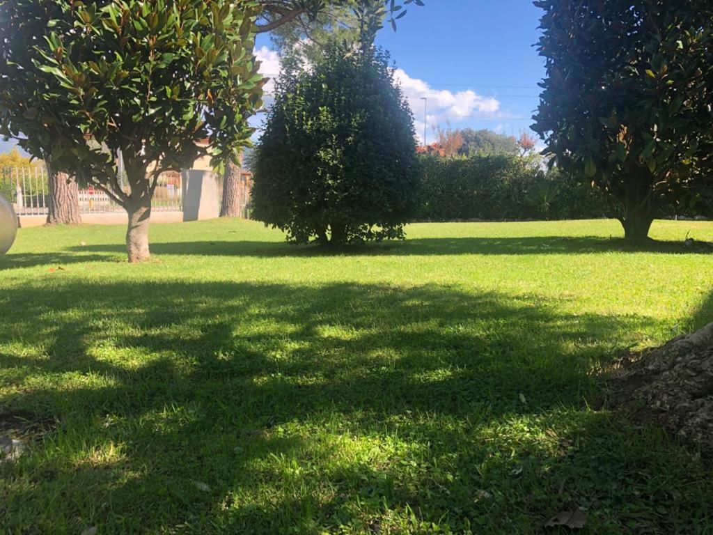 Villa Orsini - A Retreat In Pisa - Food And Relax Εξωτερικό φωτογραφία